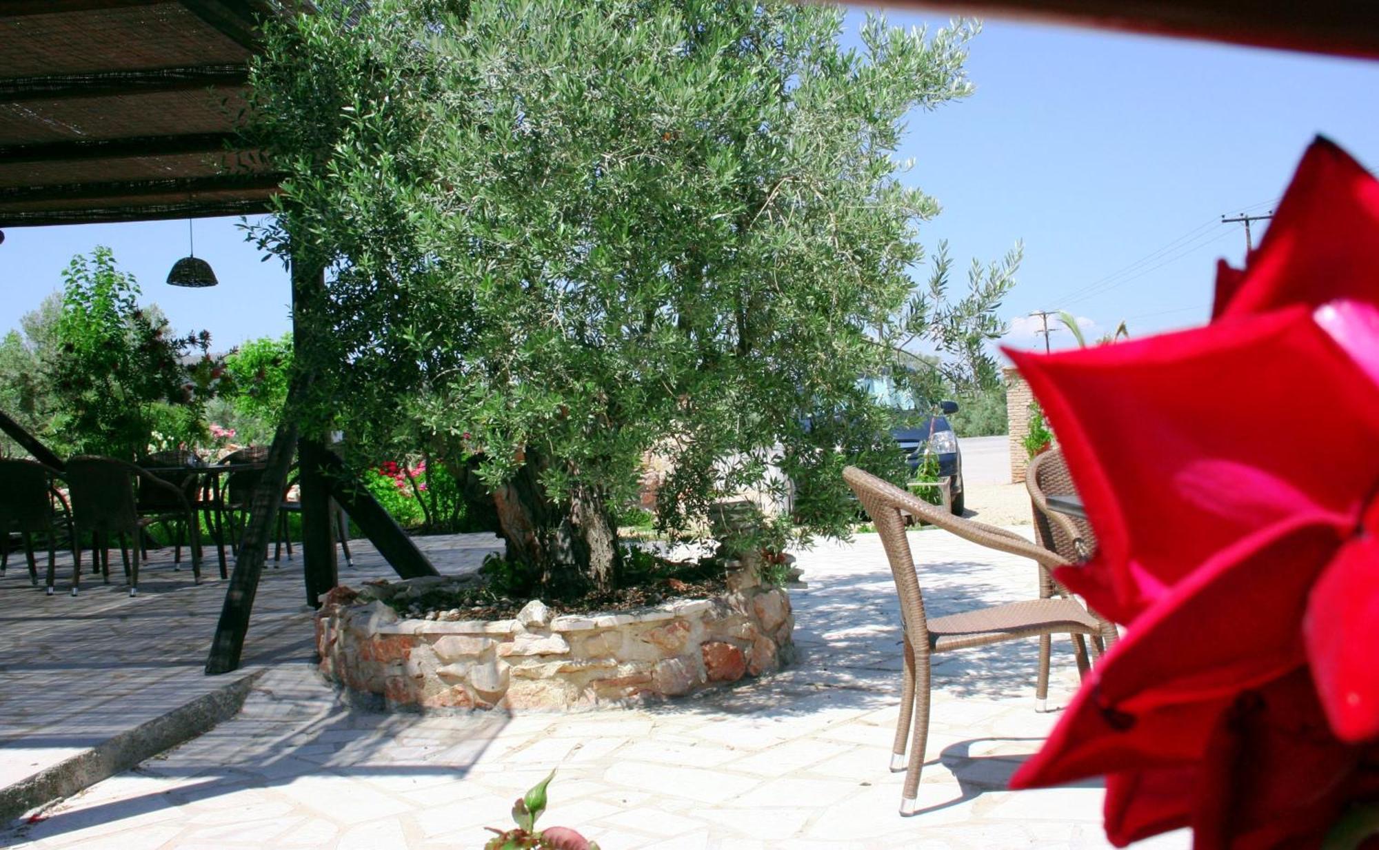 Apartahotel Hani Ligourio