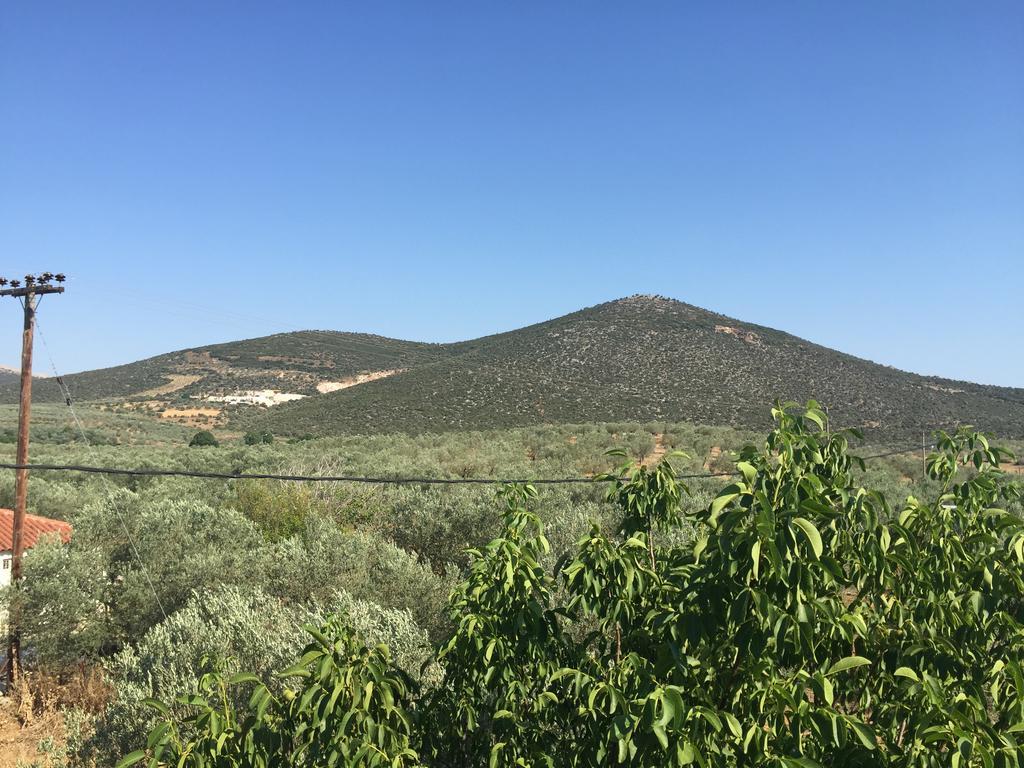 Hani 3* Ligourio