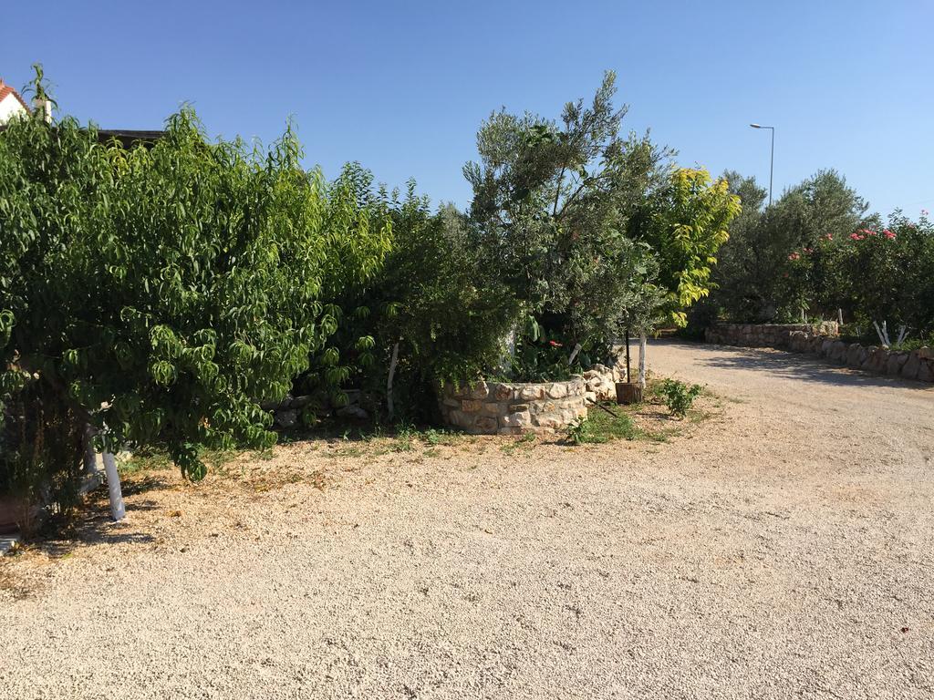 Apartahotel Hani 3*